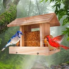 Hanging Bird Feeder